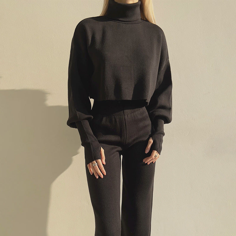 Loose Long Sleeved Turtleneck Crop Top with Fitted Long Pants Set - Black