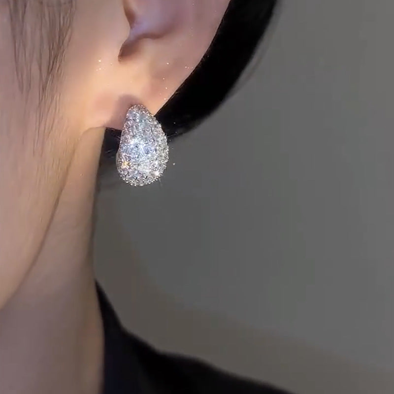 Large Teardrop Zircon Inlaid Earrings -