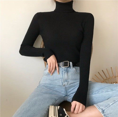 High Collar Warm Long Sleeve Sweater Matching Sweater Women - Black One size
